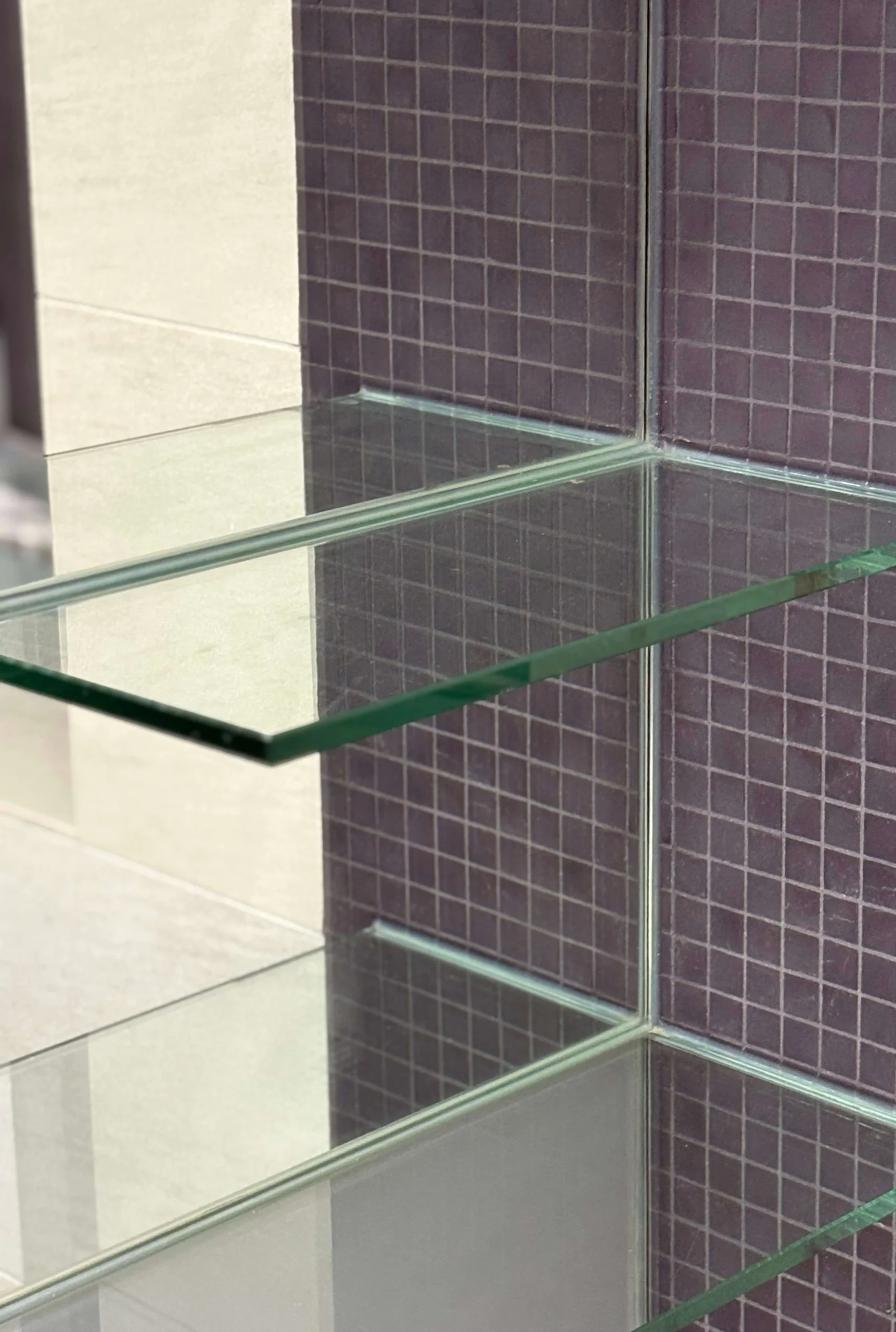 toilet-cleaning_copy